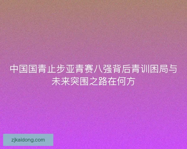 中国国青止步亚青赛八强背后青训困局与未来突围之路在何方 中国国青止步亚青赛八强背后青训困局与未来突围之路在何方