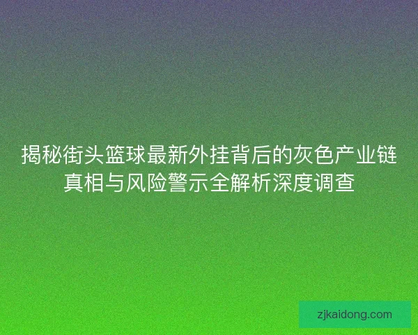 揭秘街头篮球最新外挂背后的灰色产业链真相与风险警示全解析深度调查 揭秘街头篮球最新外挂背后的灰色产业链真相与风险警示全解析深度调查