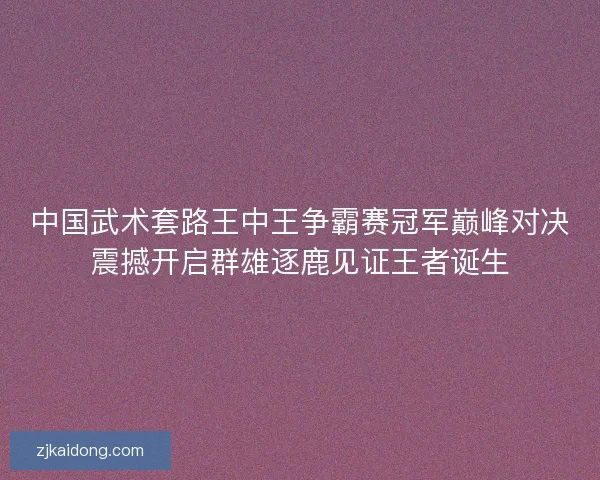 中国武术套路王中王争霸赛冠军巅峰对决震撼开启群雄逐鹿见证王者诞生 中国武术套路王中王争霸赛冠军巅峰对决震撼开启群雄逐鹿见证王者诞生